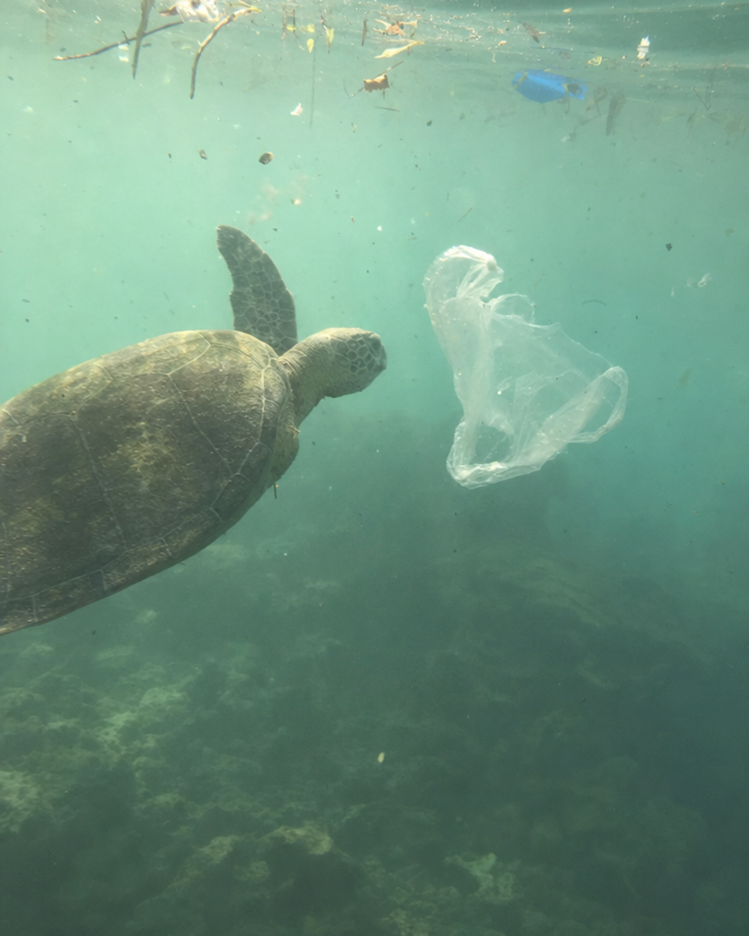 Save Our Planet Facebook ad: Is It Better To NOT Recycle Your Detergent Jug?