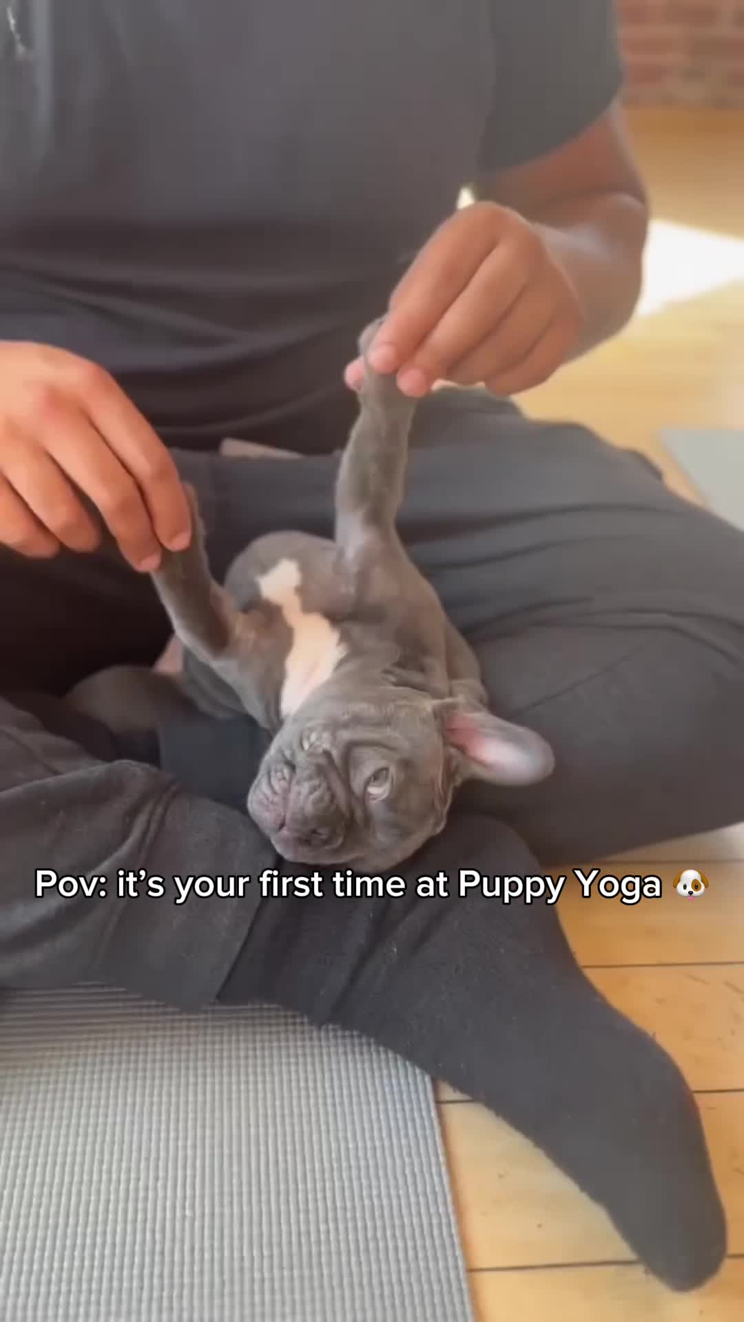 Puppies & Yoga Dallas Facebook ad: Book your class now!