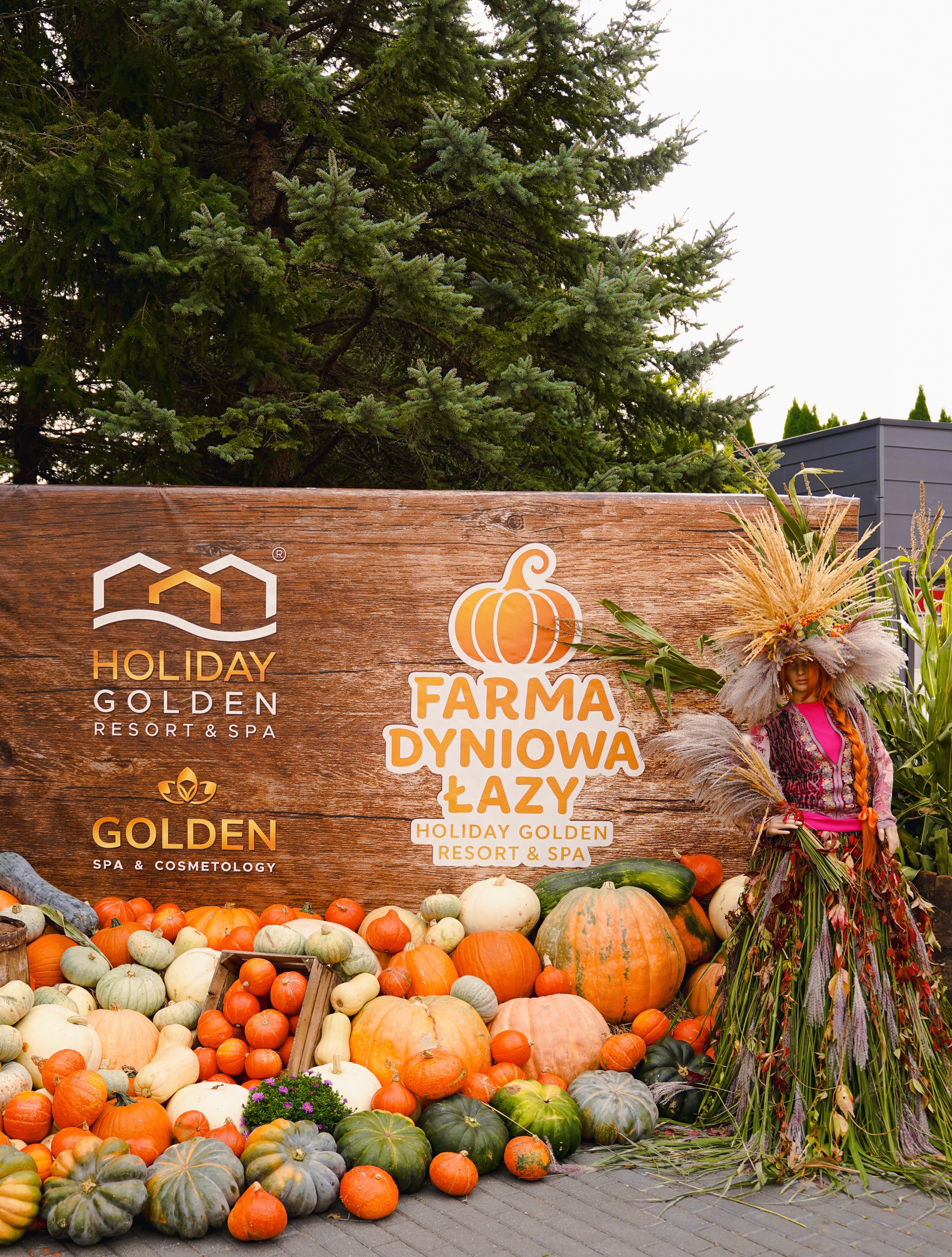Holiday Golden Resort Facebook ad: Farma Dyniowa w Łazach zaprasza codziennie!