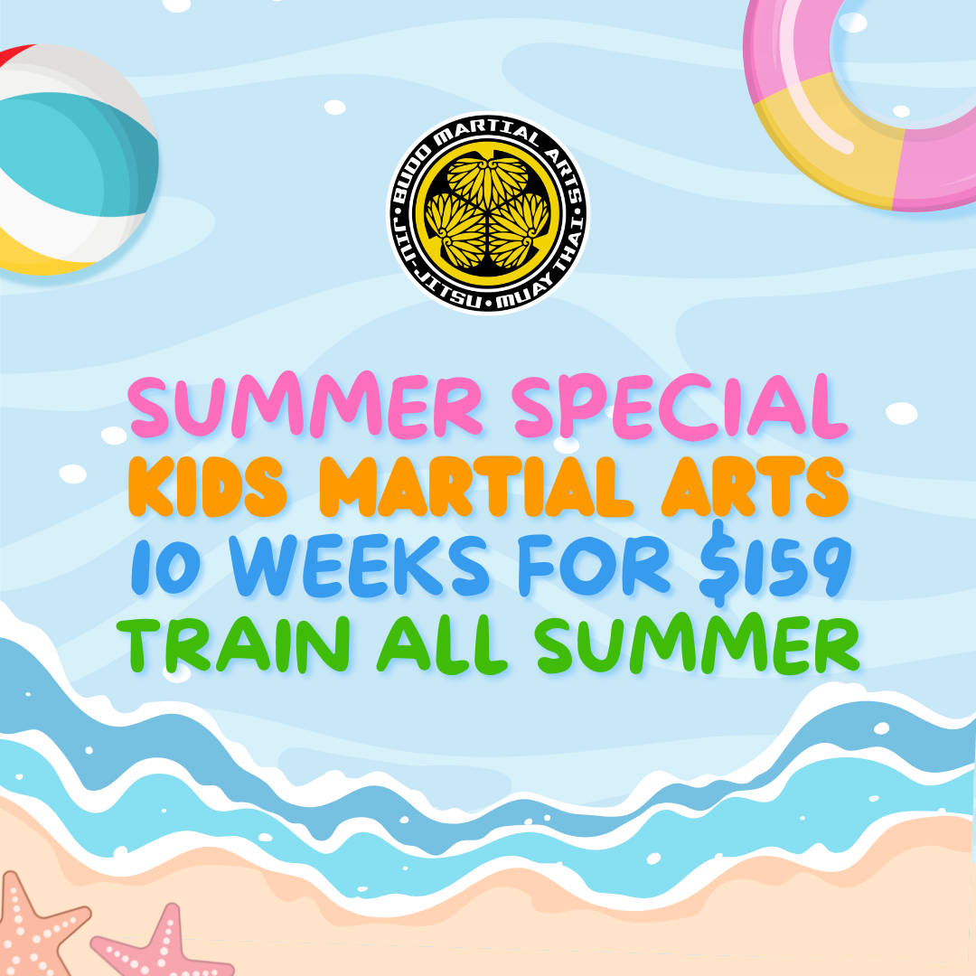 Budo Martial Arts Studio Facebook ad