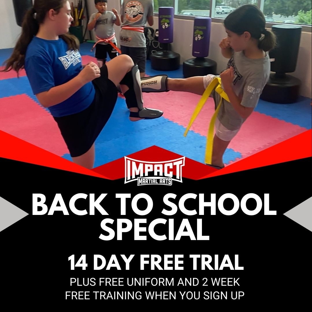 Impact Martial Arts Chirnside Park Facebook ad