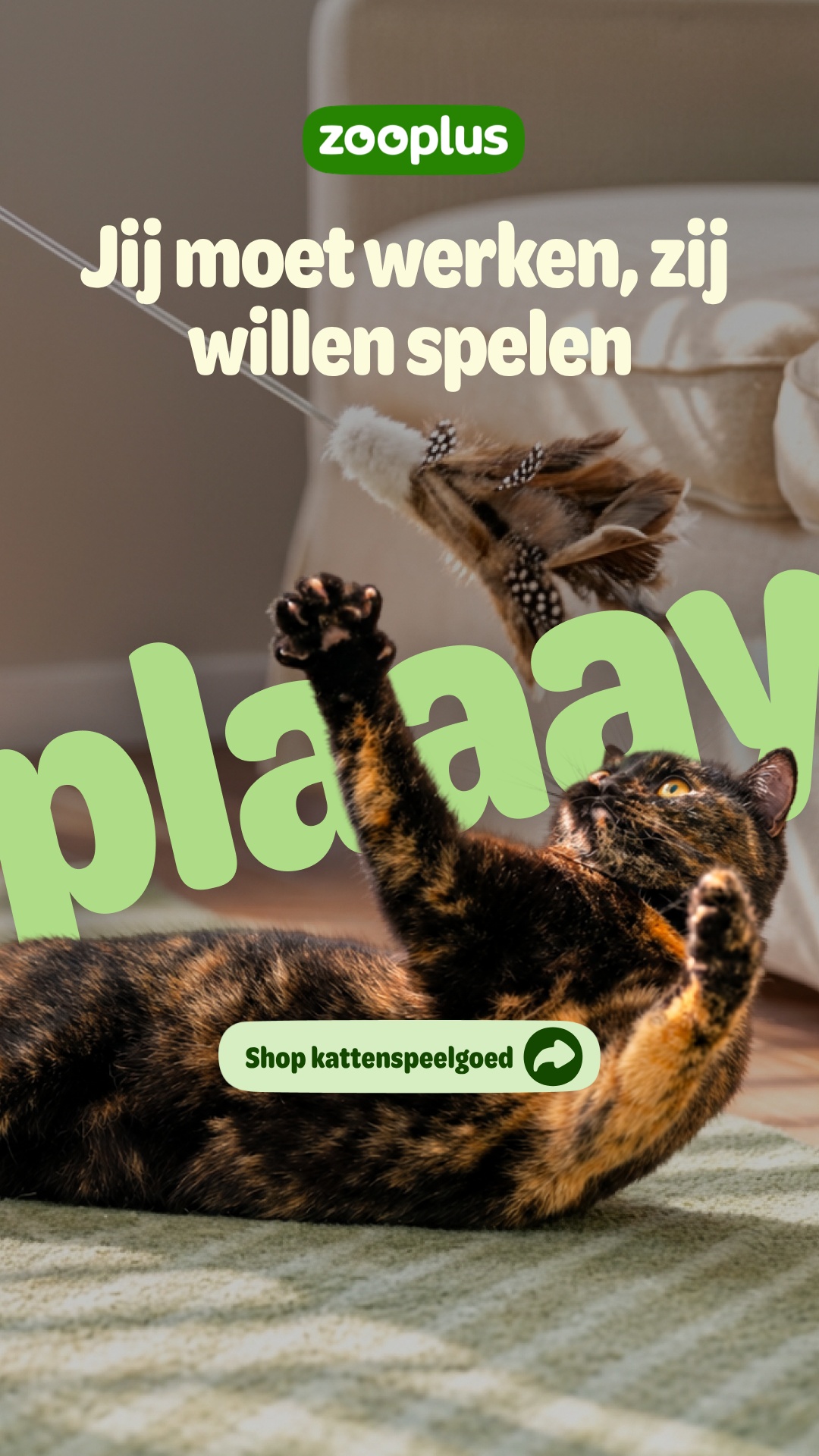 zooplus Facebook ad: Kattenspeelgoed Selecteer uit 555 producten.
