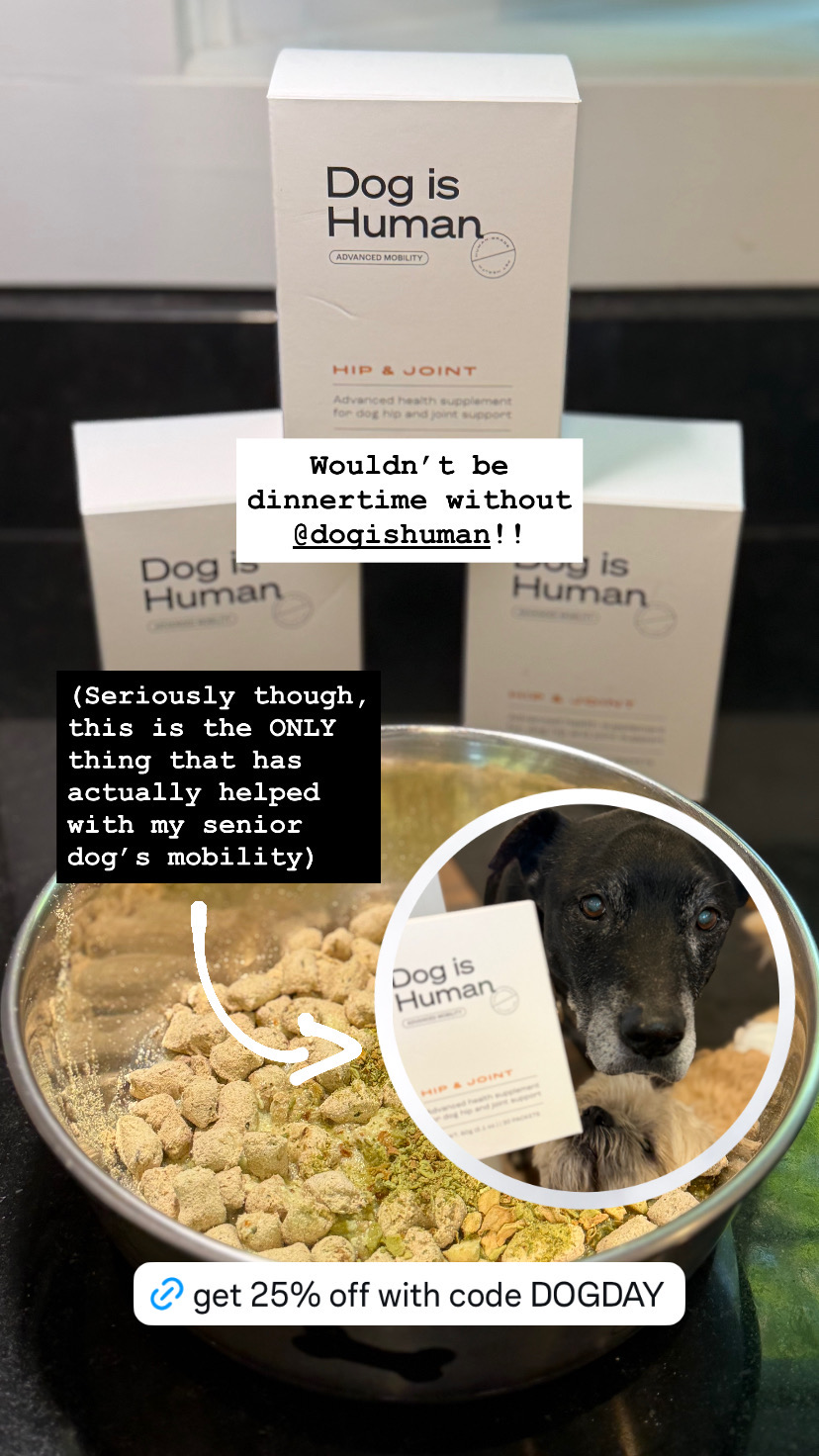 Dog is Human Facebook ad