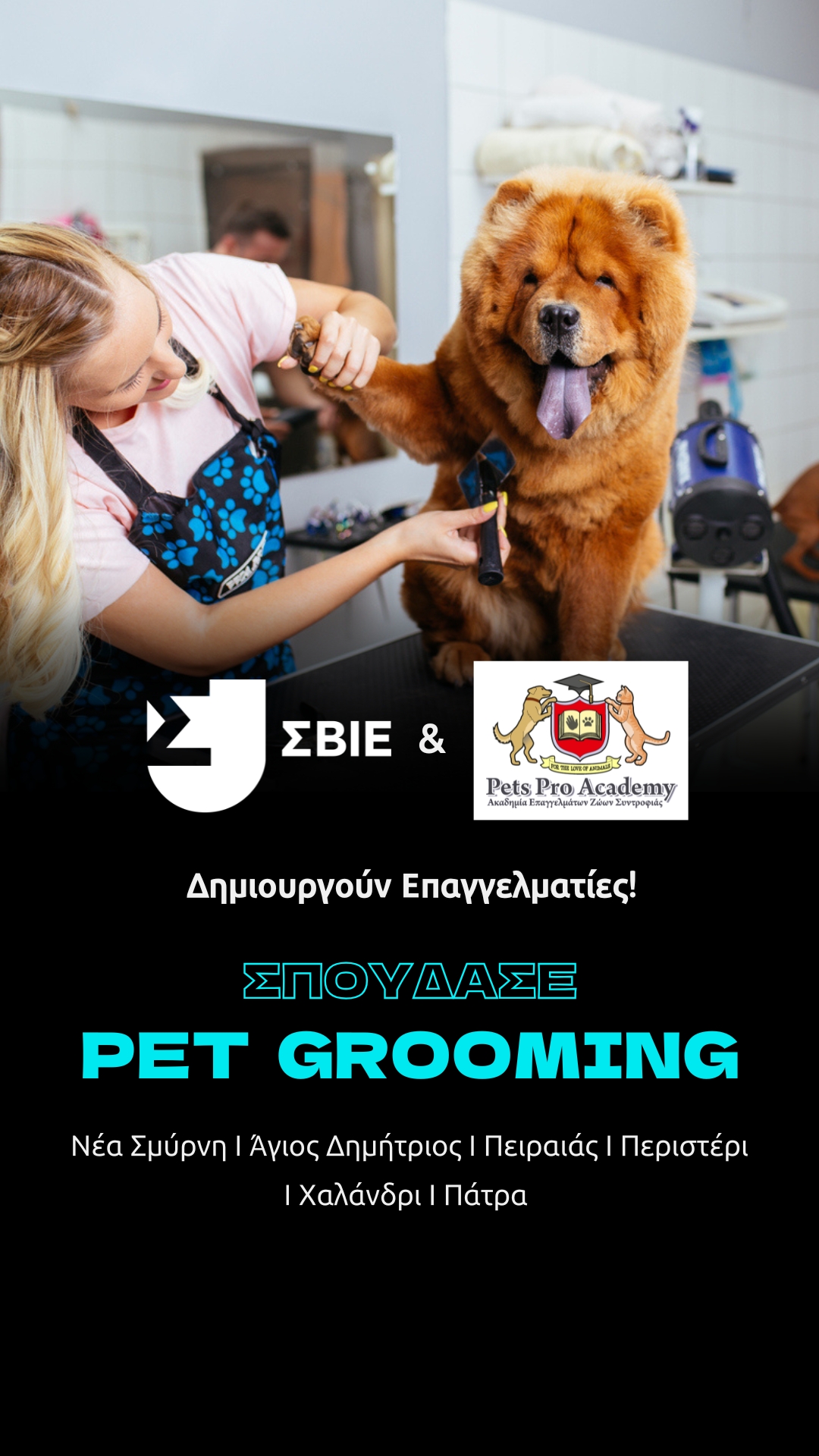 ΙΕΚ ΣΒΙΕ Facebook ad from Jan 8, 2026