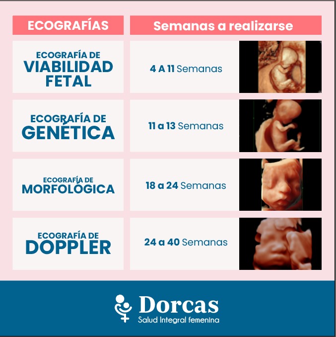 Clínica de la Mujer Facebook ad: ECOGRAFÍAS MÁS IMPORTANTES DEL EMBARAZO