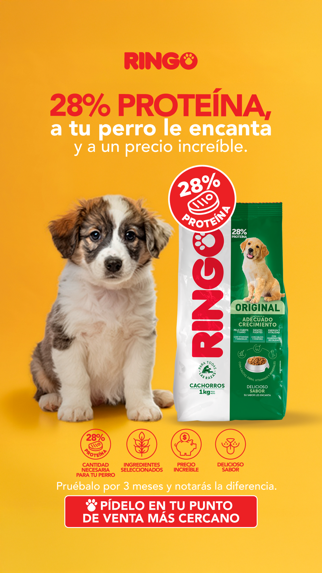 EfectoRingo Facebook ad