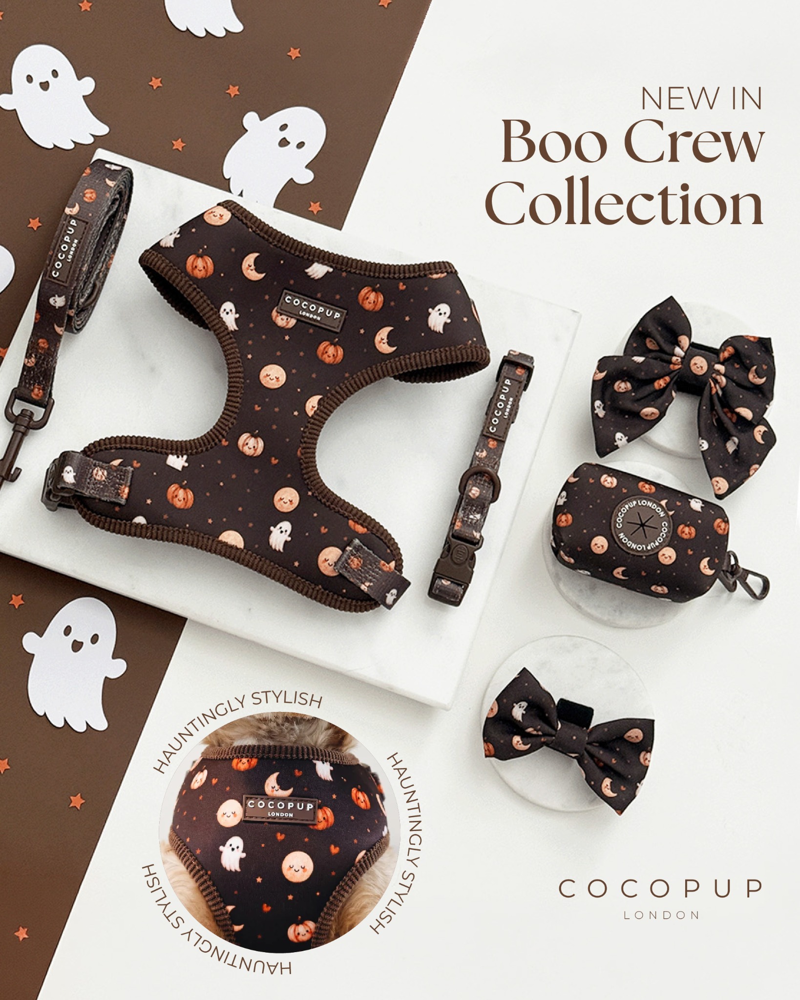 Cocopupuk Facebook ad