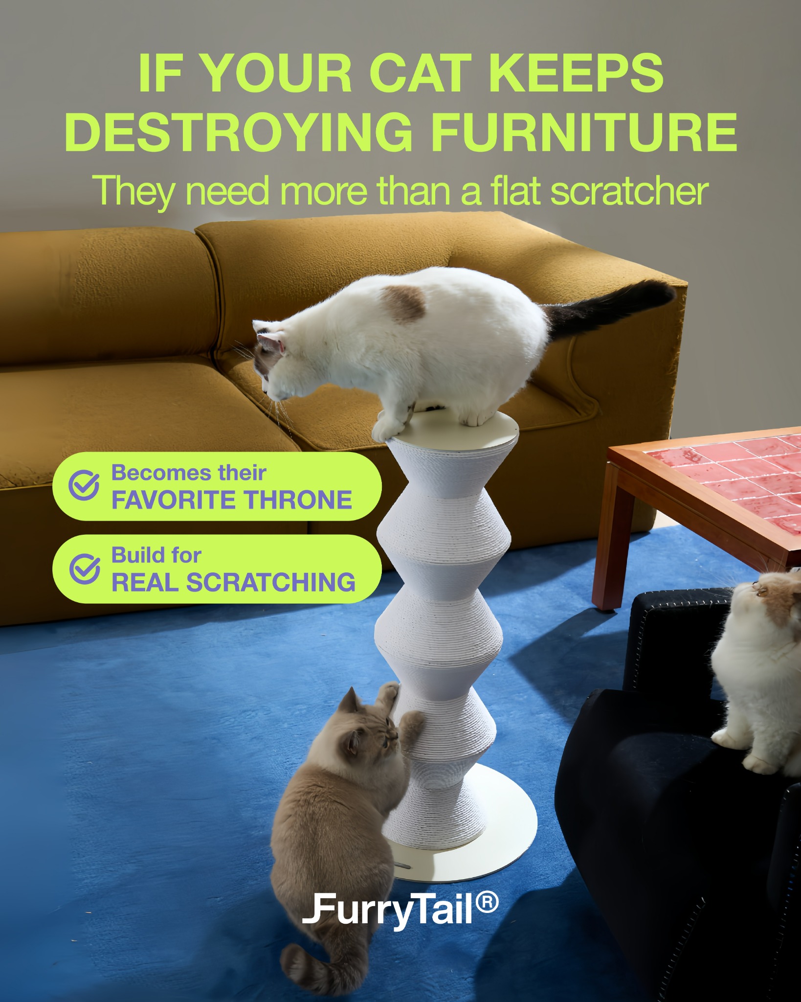 Furrytail_us Facebook ad