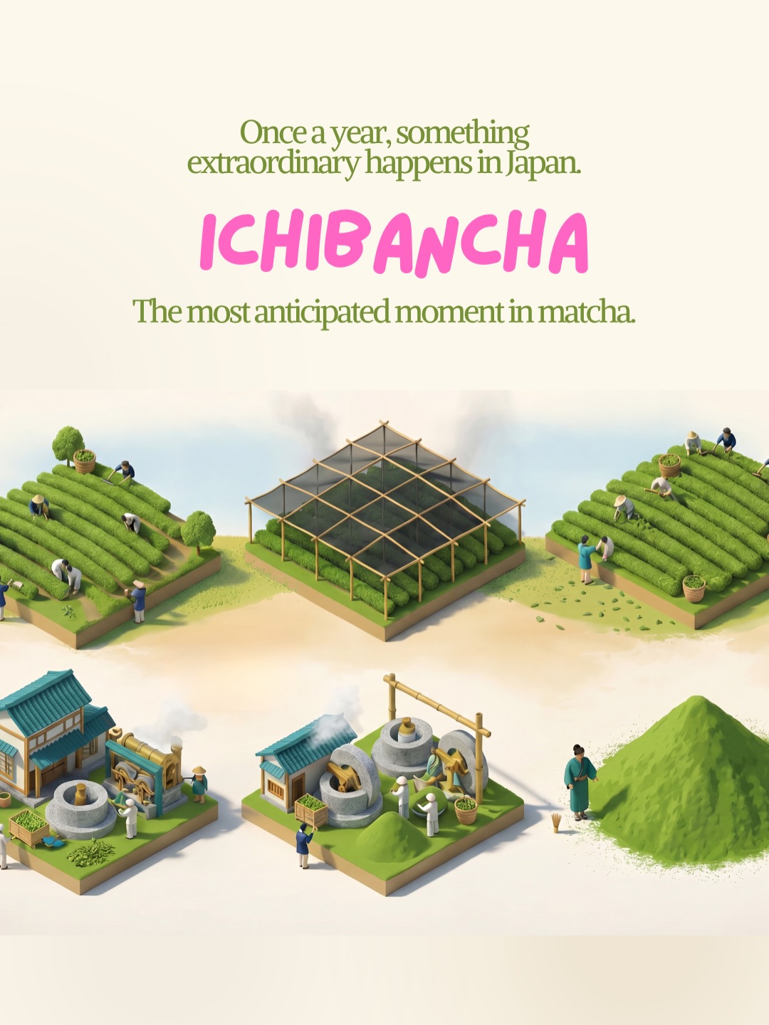 Hello Matcha Facebook ad: Not all matcha is created equal.