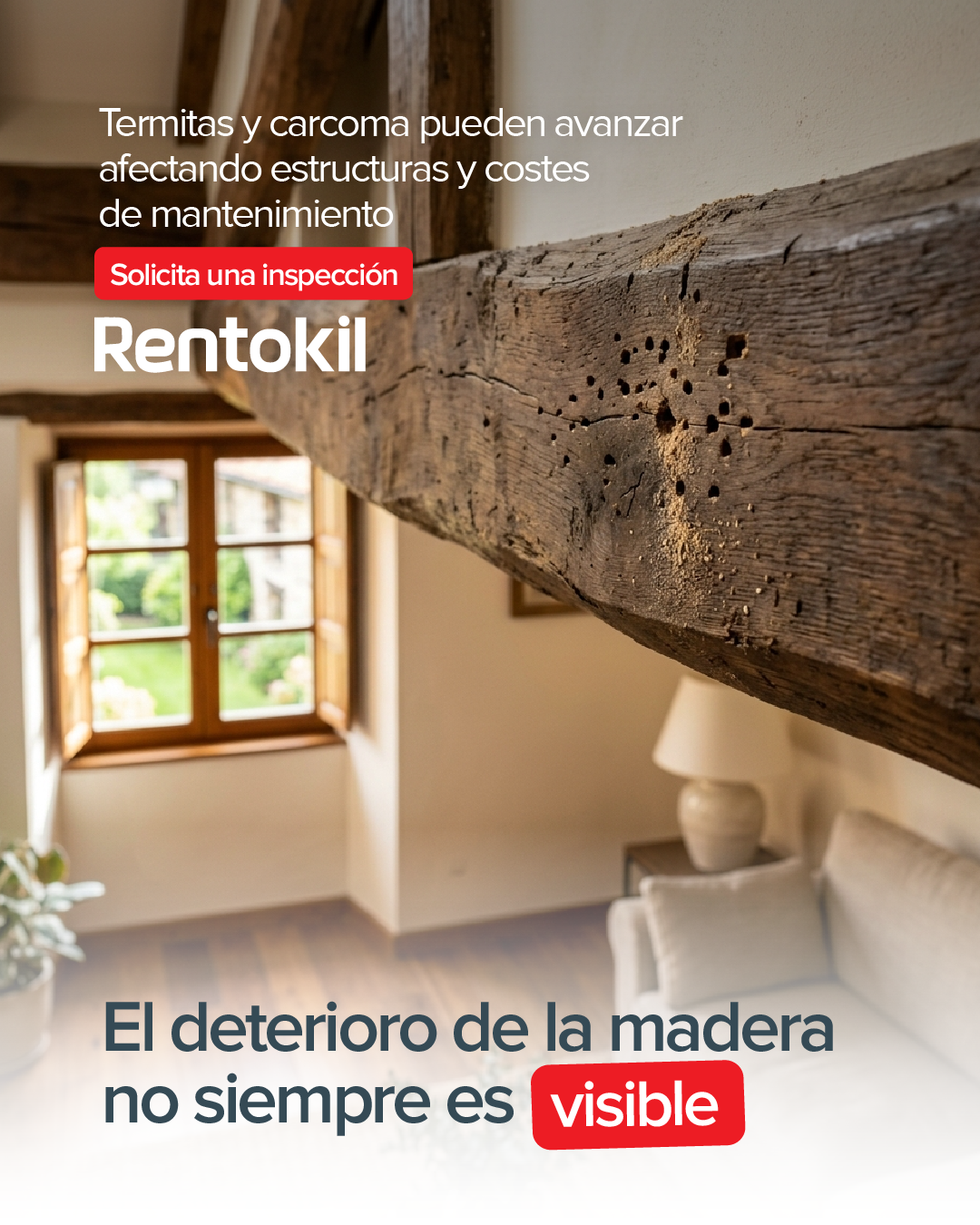 Rentokil España Facebook ad: Detecta termitas y carcoma a tiempo