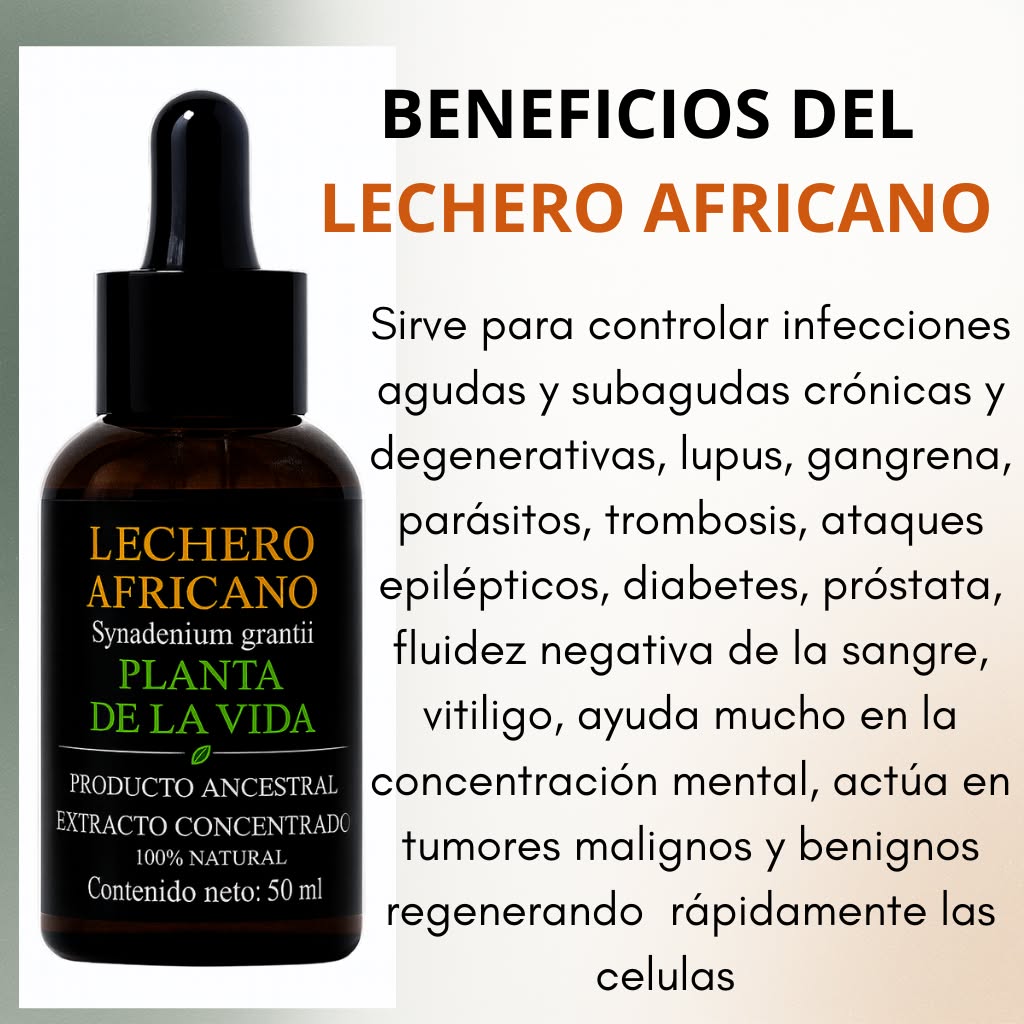 Mundo Natural Facebook ad