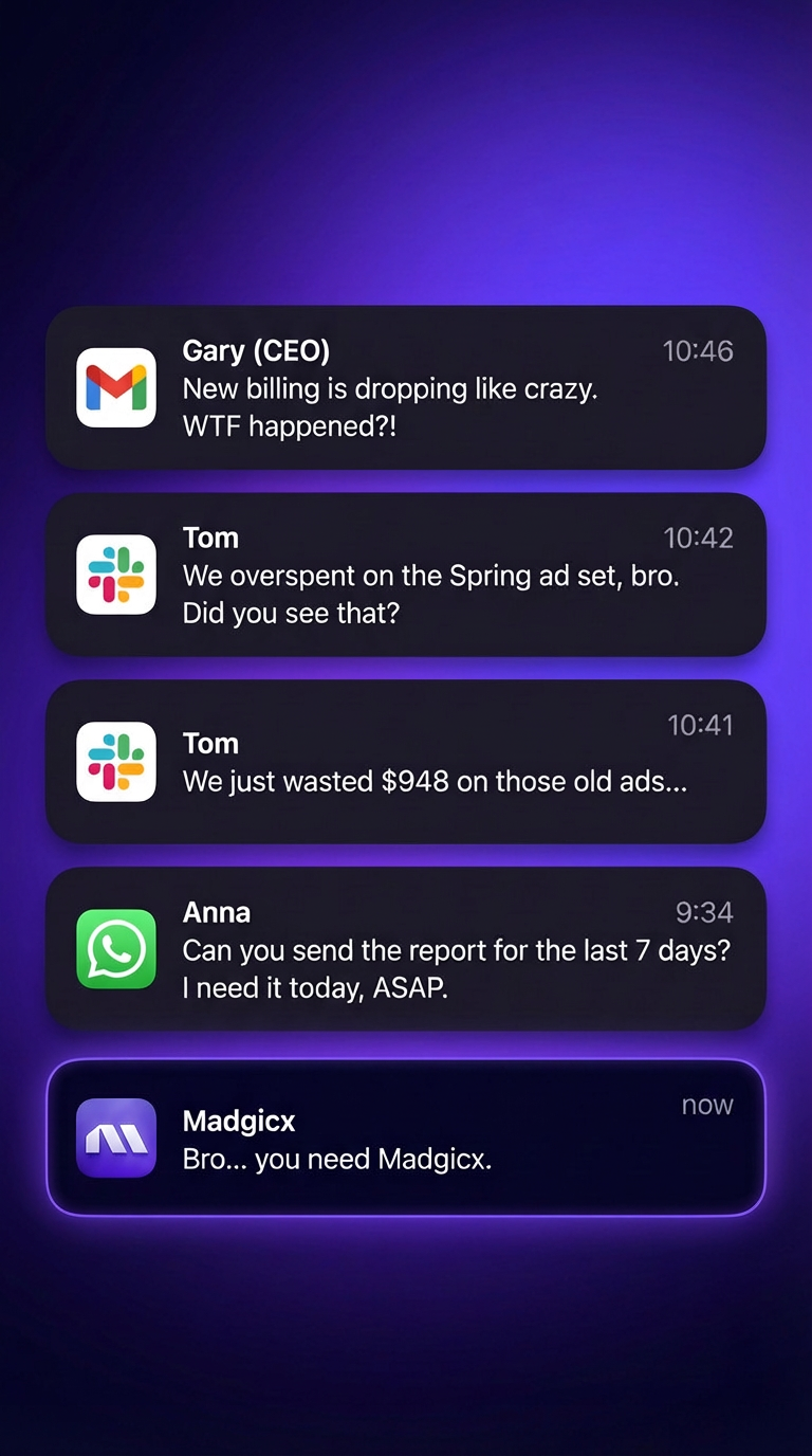 madgicx.com Facebook ad