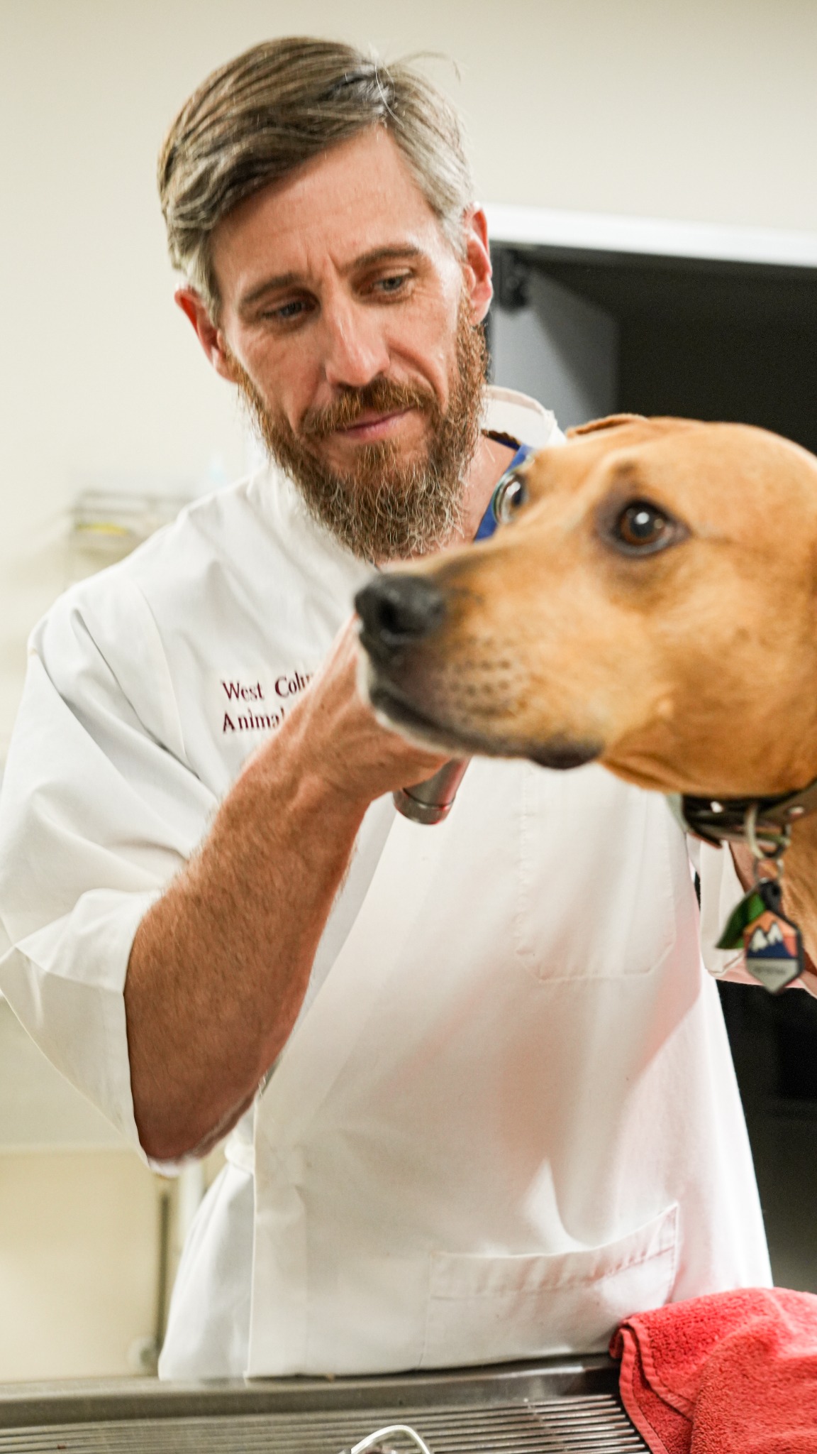 West Columbia Animal Hospital Facebook ad