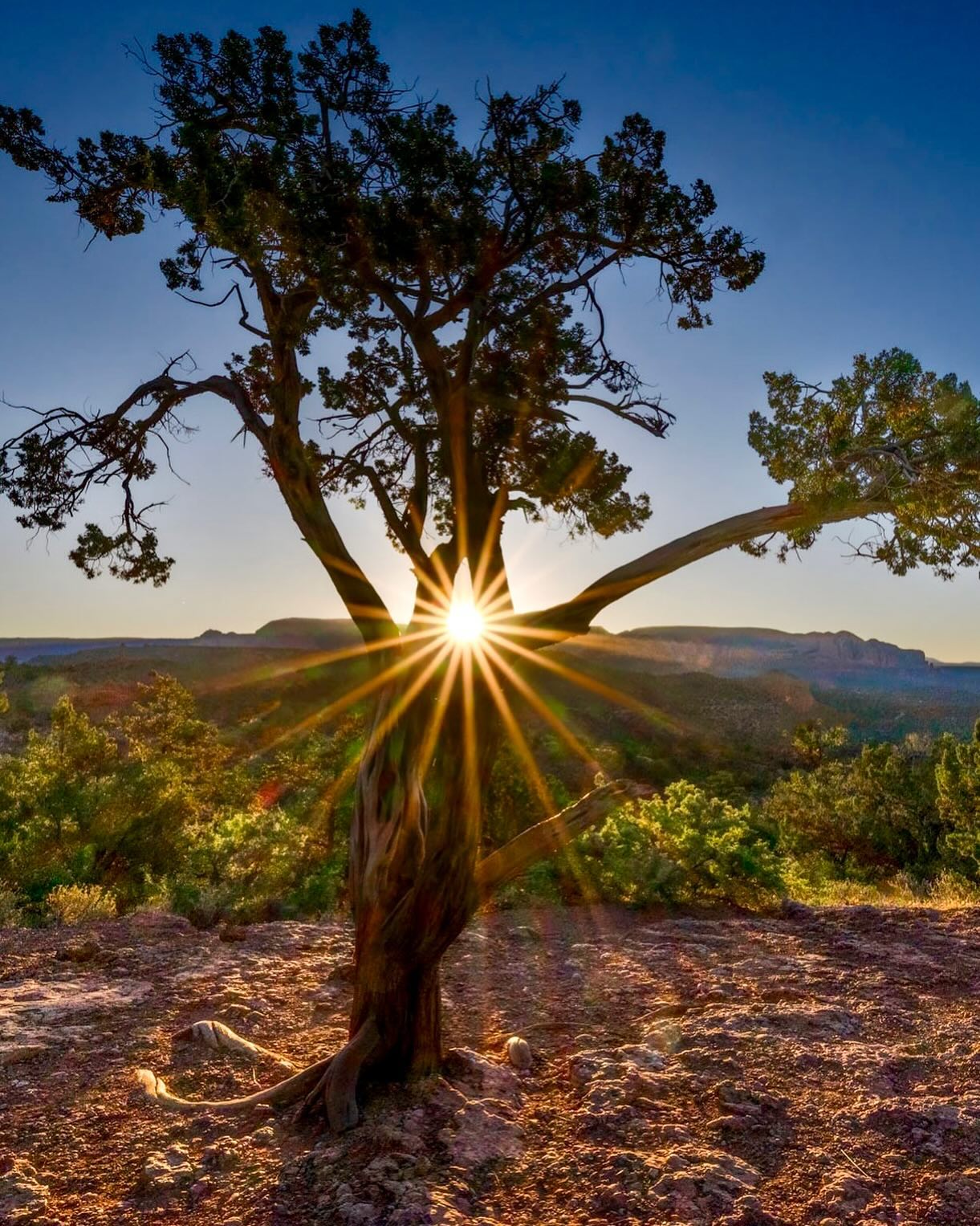 yazautomatic Facebook ad: Sunrise in Just outside of the town we…