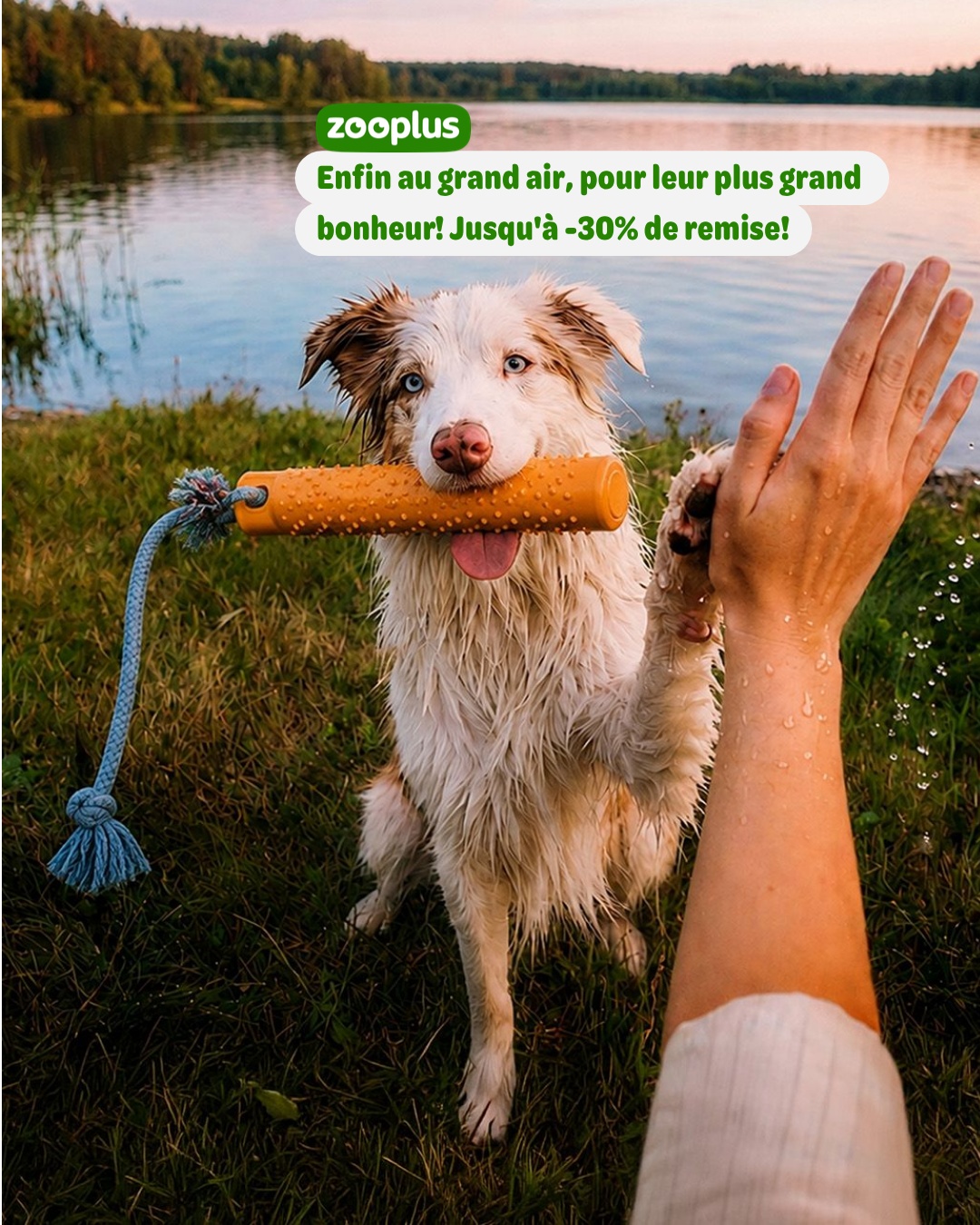 zooplus Facebook ad