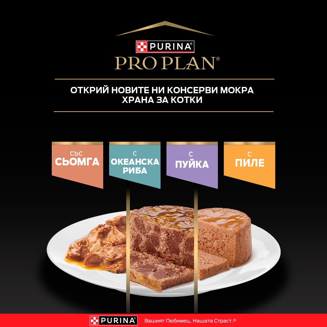 Purina Bulgaria Facebook ad