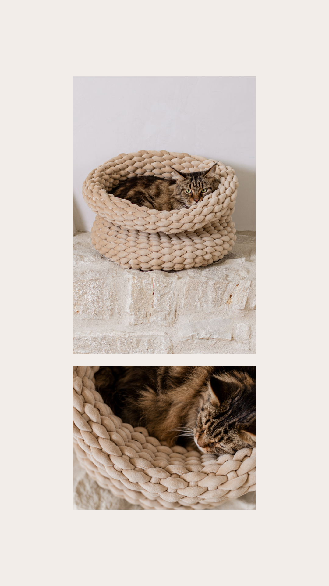 Mau Pets Facebook ad from Jul 2, 2026