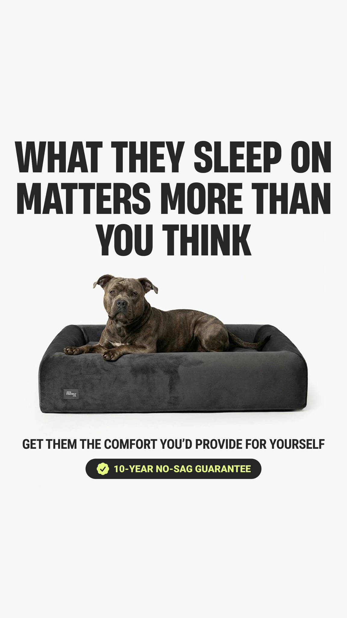 Dog Friendly Co. Facebook ad