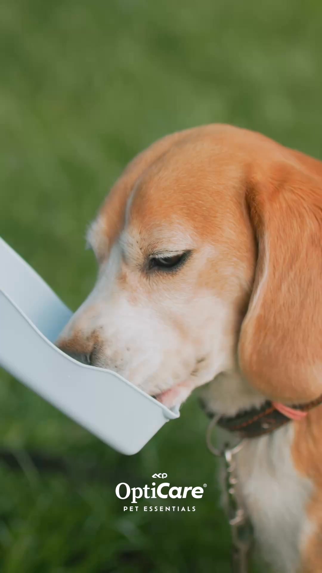 OptiCare Pet Essentials Facebook ad: Nuestras croquetas están formuladas para aportar…