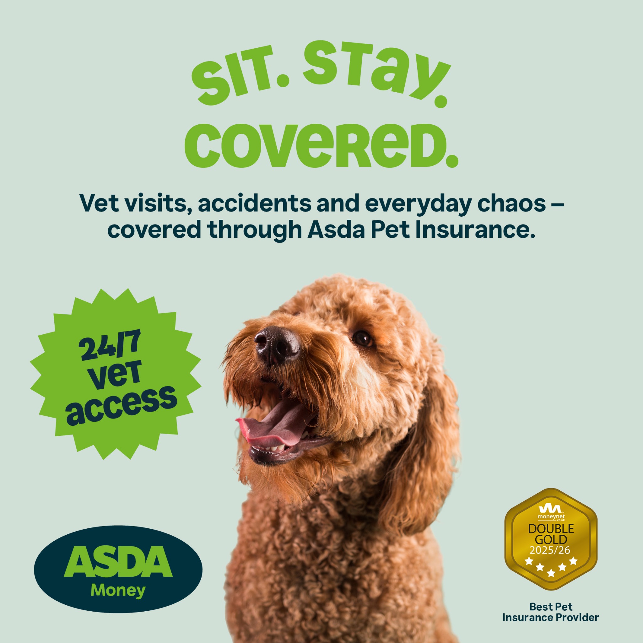 Asda Money Facebook ad: Get a Pet Insurance Quote | Cat and Dog Insurance