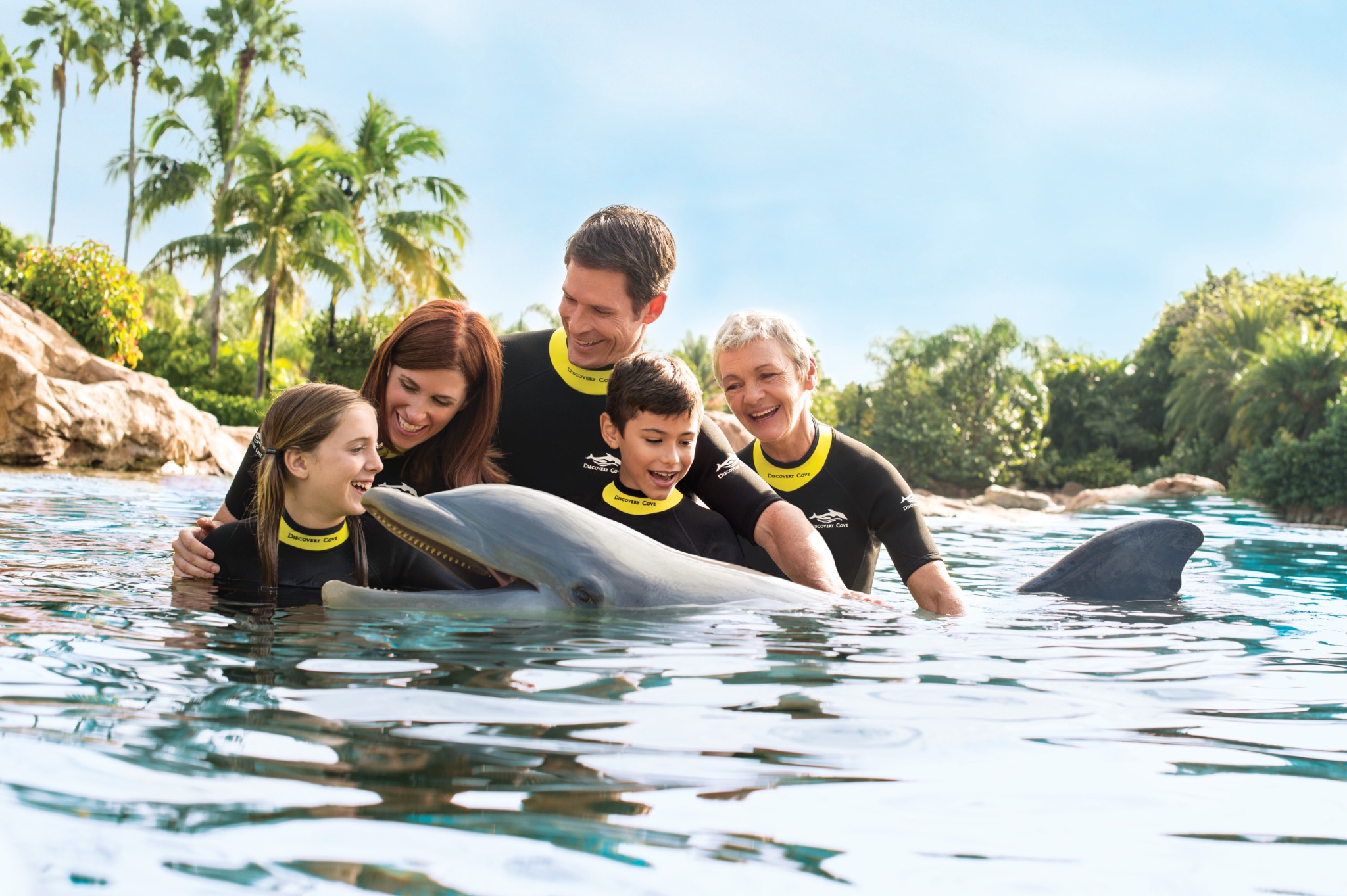 Discovery Cove Facebook ad from Jun 3, 2026