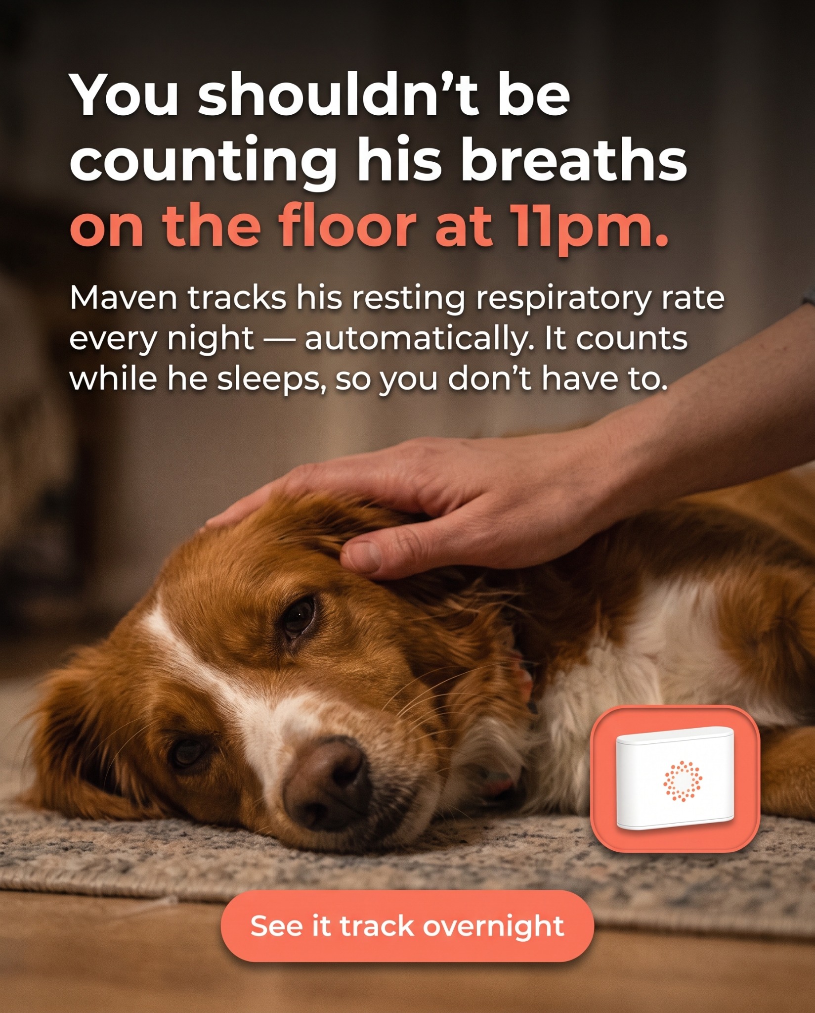 Maven Pet Facebook ad