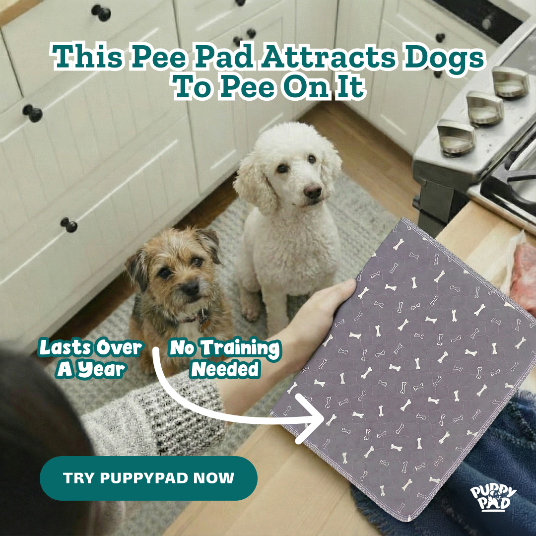 PuppyPad Facebook ad