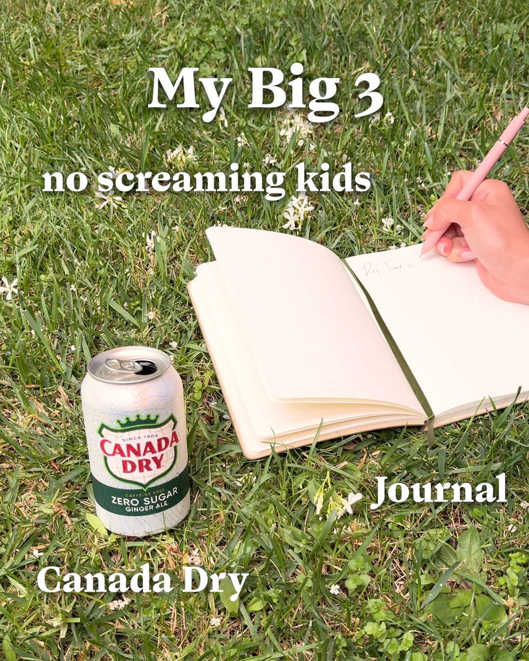 Canada Dry Facebook ad