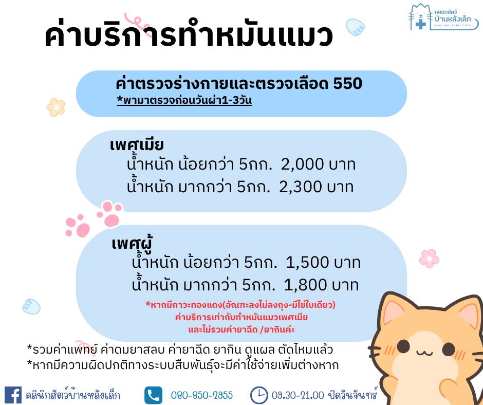 คลินิกสัตว์บ้านหลังเล็ก หทัยราษฎร์ Baanlanglek Pet Clinic Facebook ad