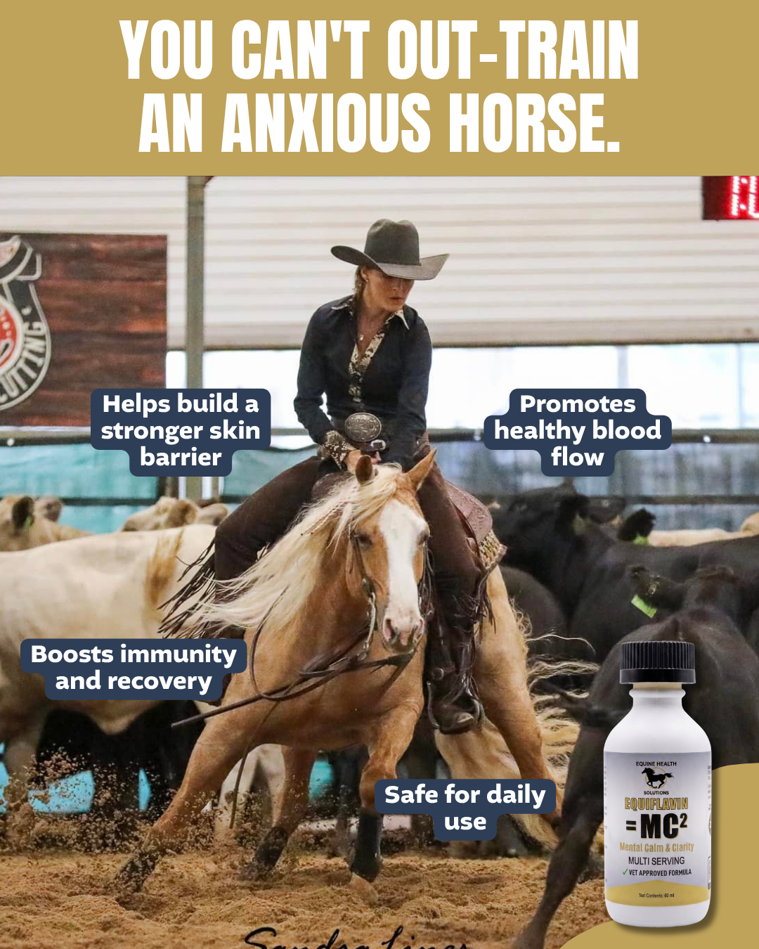 Equine Health Solutions Facebook ad