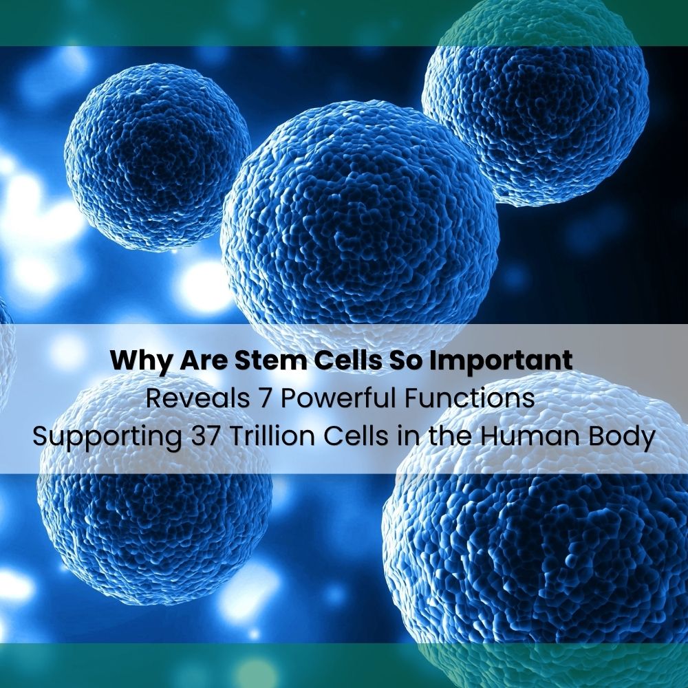 US Mexico Stem Cell Institute Facebook ad