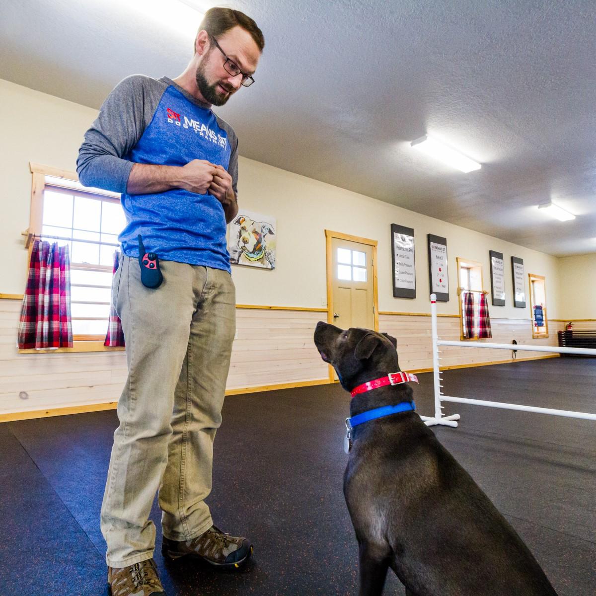 Sit Means Sit Dog Training - Utica-Rome Facebook ad: Obedience and Behavioral Dog Training