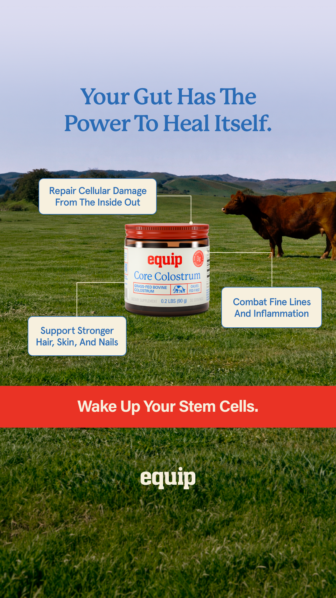 Equip Facebook ad