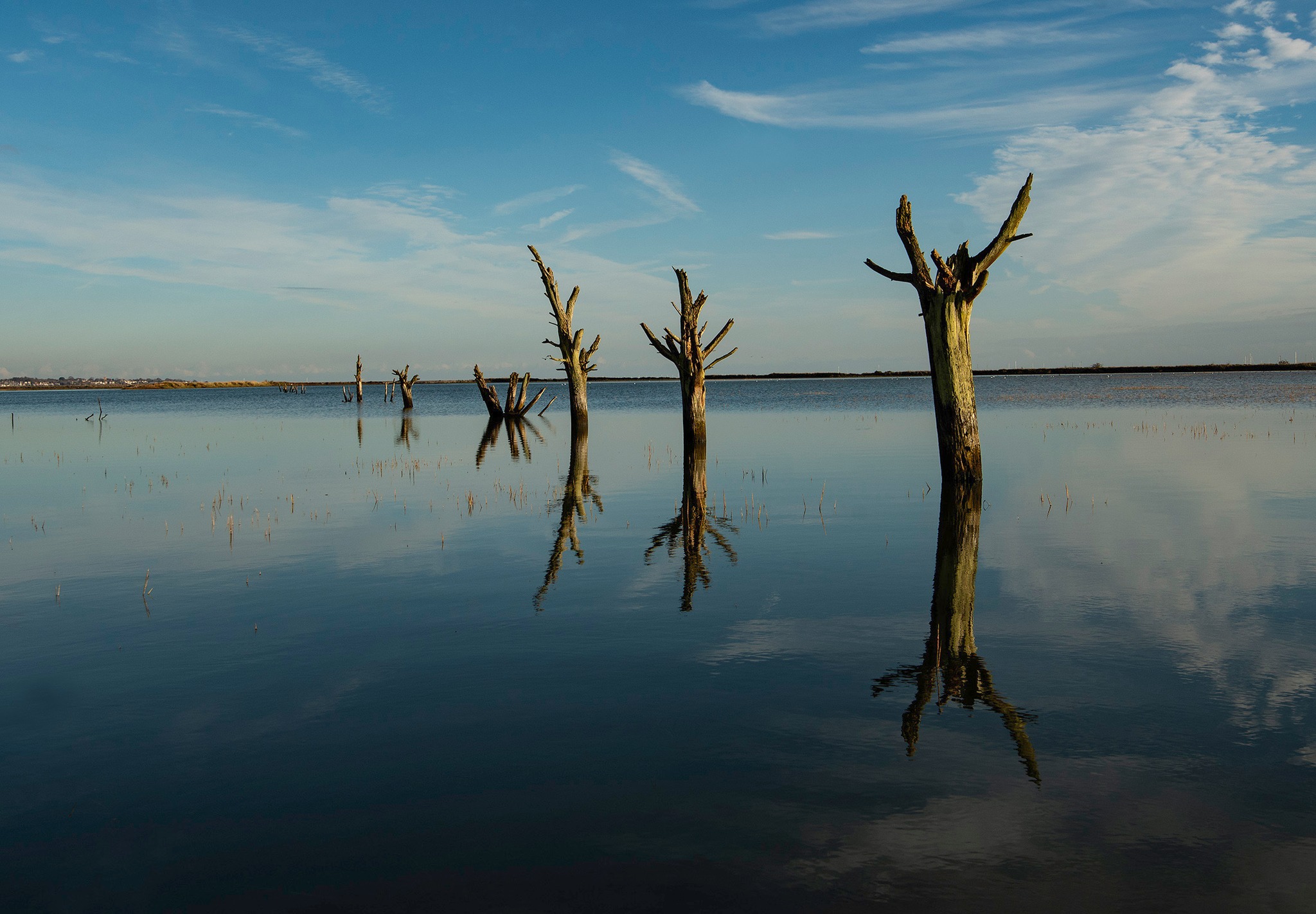 Steve Hedges Photography Workshops and Courses Facebook ad
