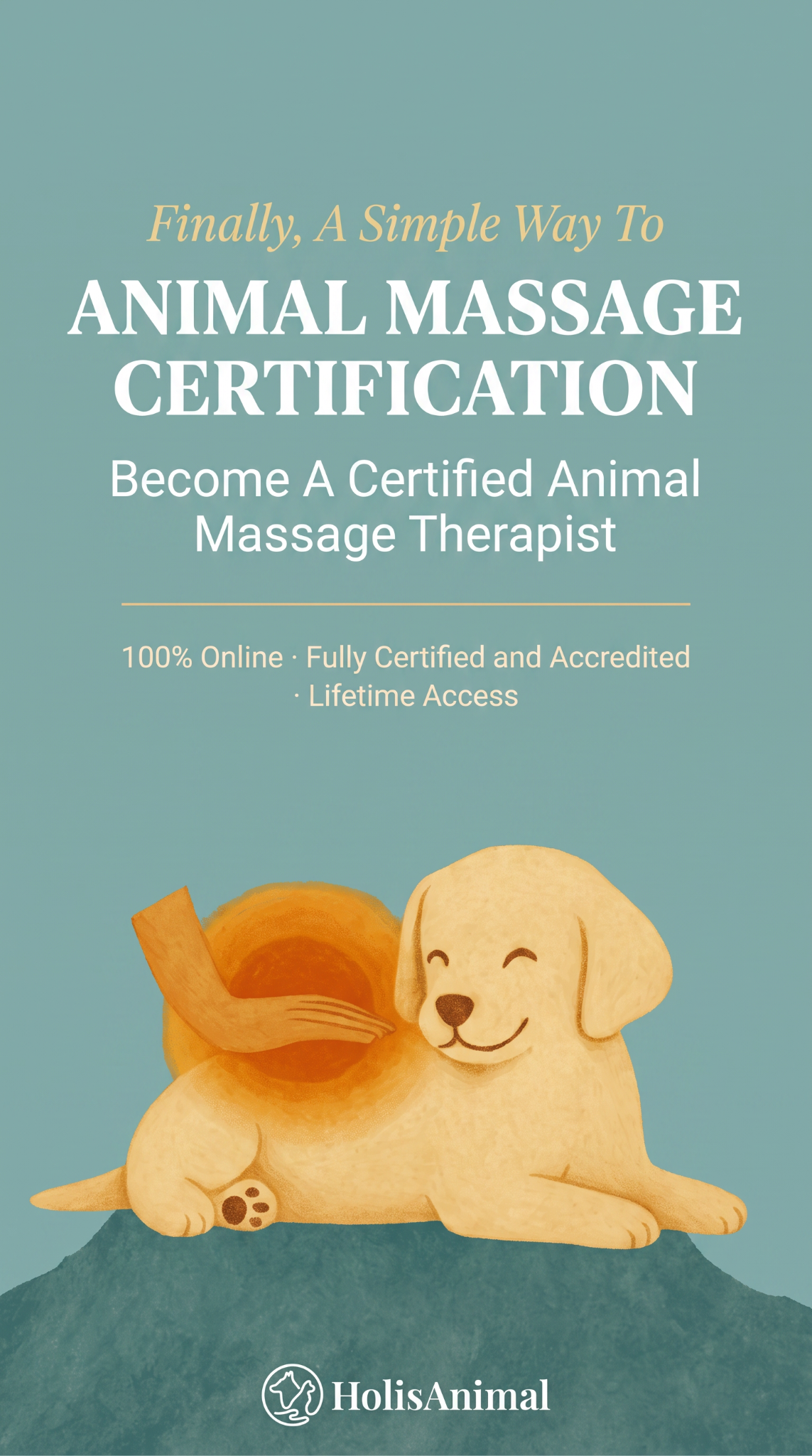 HolisAnimal Facebook ad from Aug 11, 2026