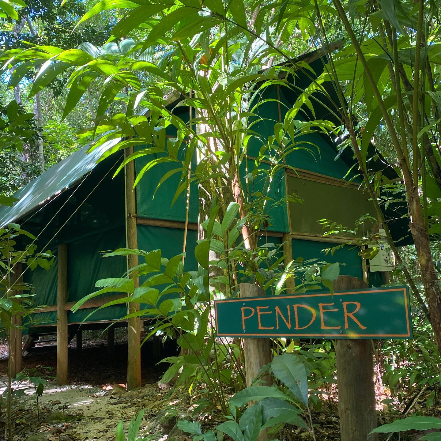 Daintree Crocodylus Facebook ad: Your Raw, Authentic Rainforest Adventure Starts Here.