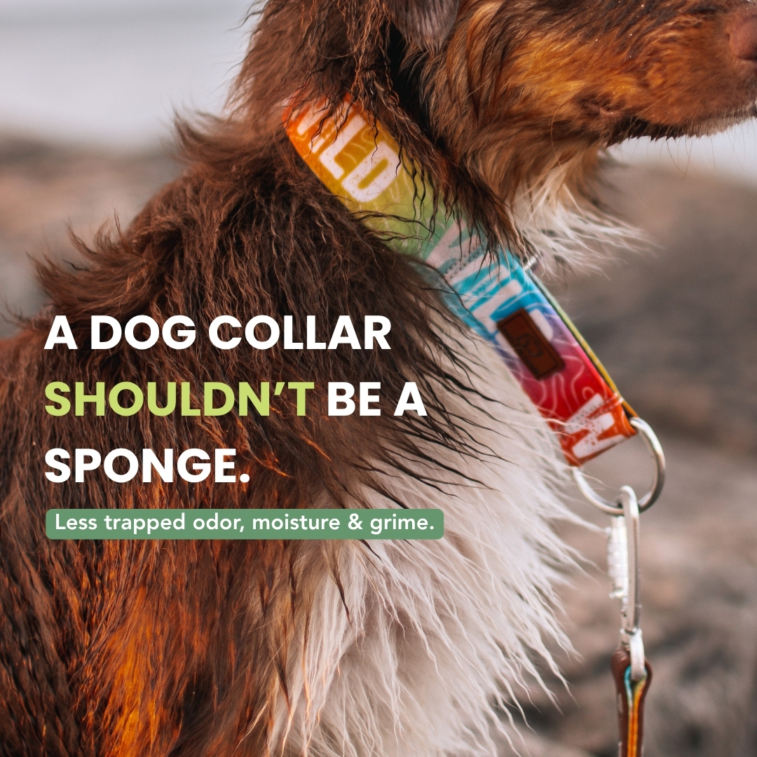Gray and Hound Facebook ad