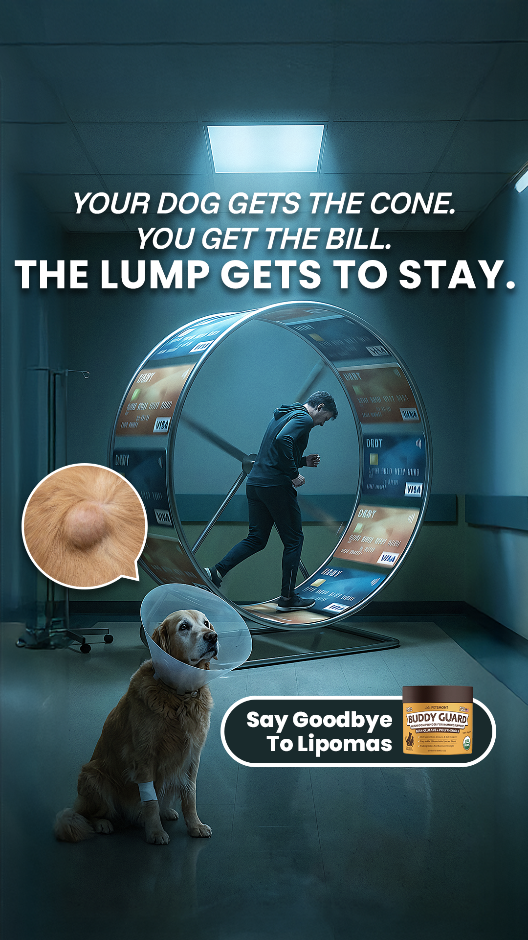 Petsmont Facebook ad