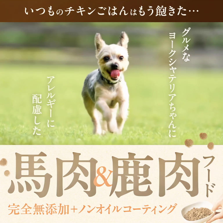 健康いぬ生活 Facebook ad