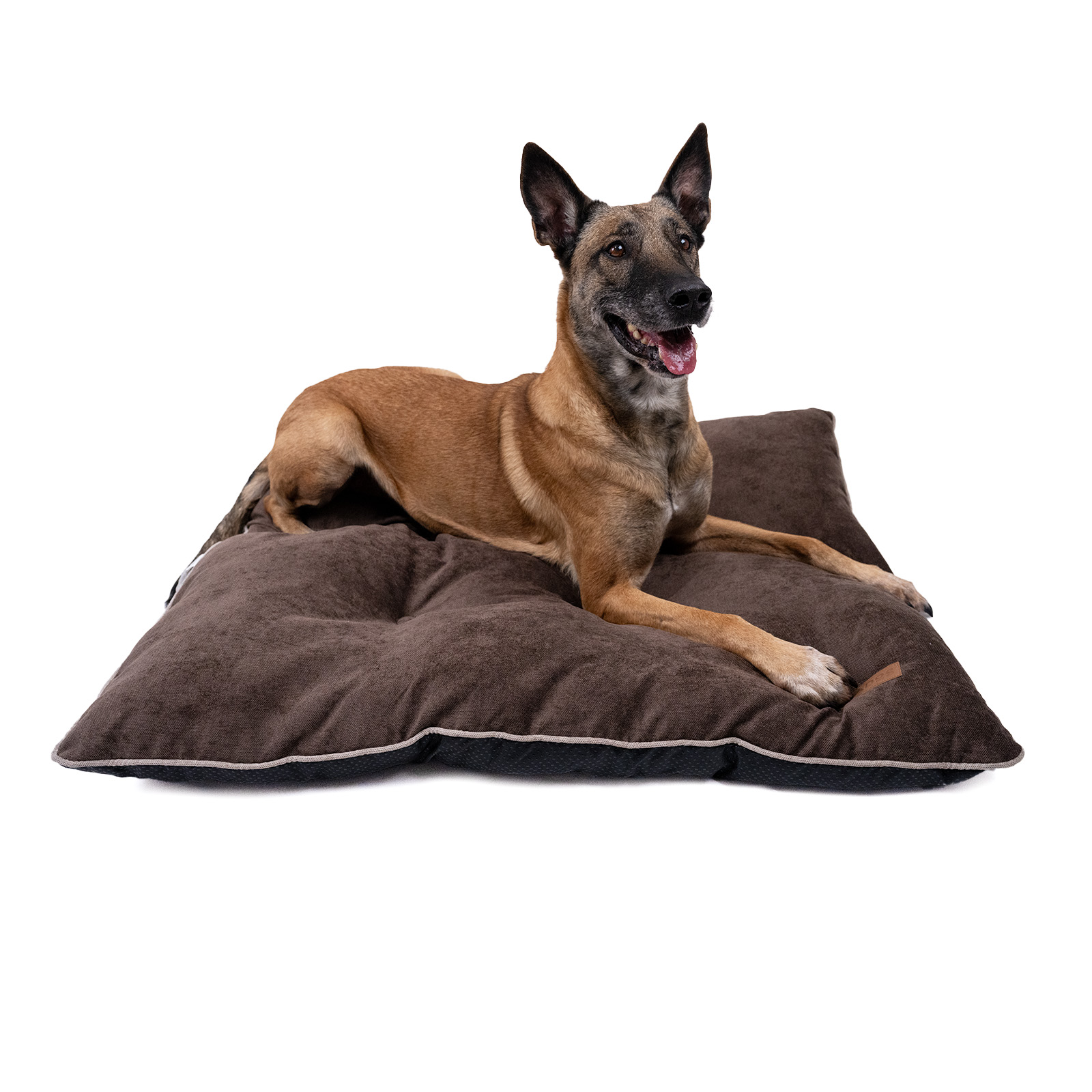 Budget Pet Products Facebook ad