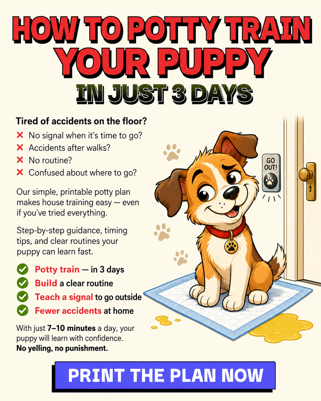 Ben Your Puppy Trainer Facebook ad