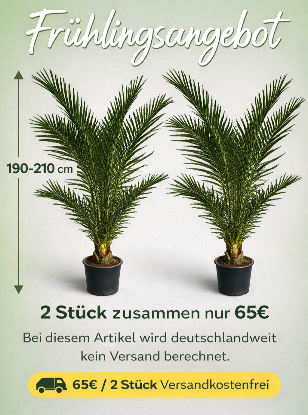 Blumen Senf Facebook ad