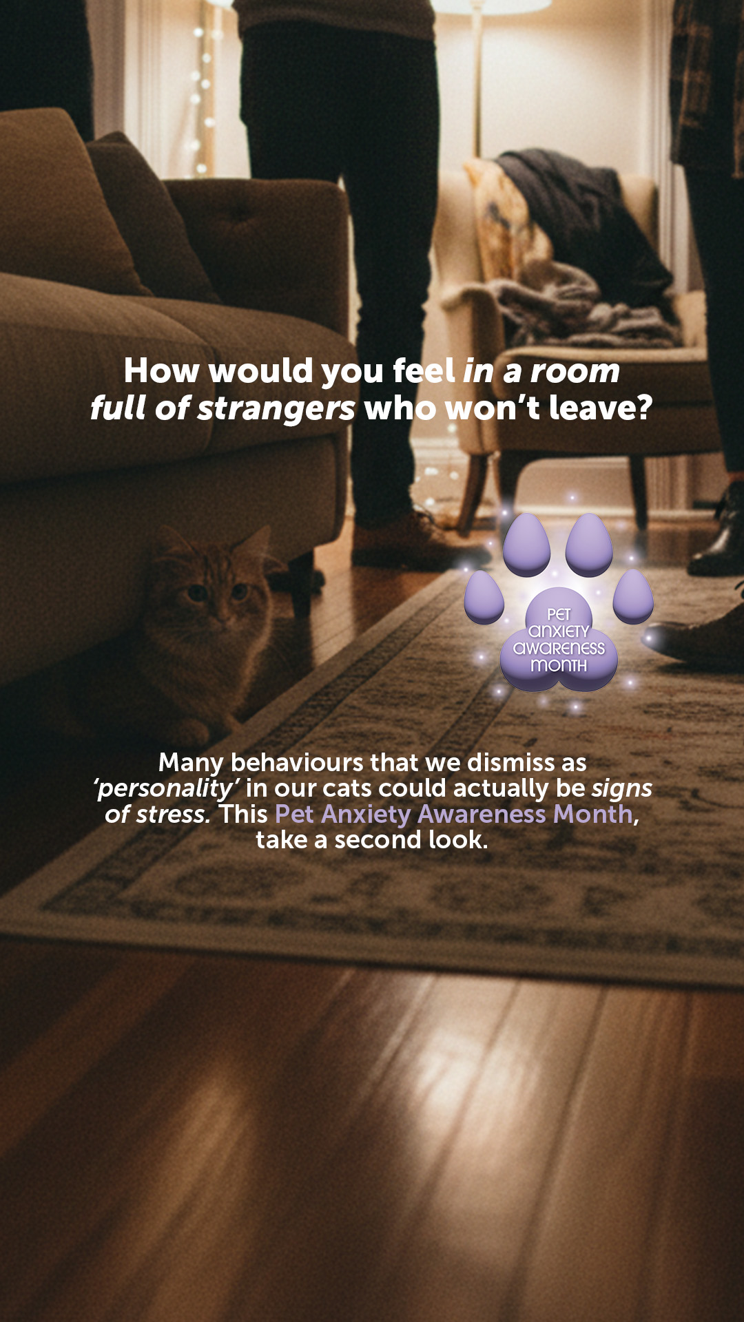 Feliway Facebook ad