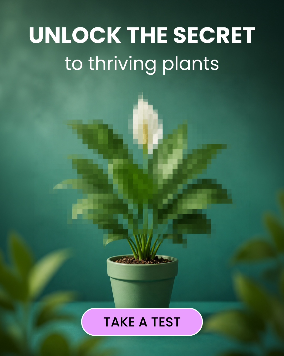 PlantIn AI: Never Kill Your Plants Facebook ad from May 25, 2026