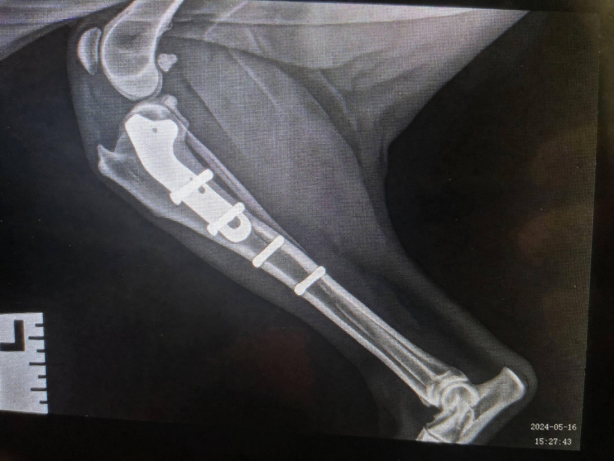 Carol Bennett Facebook ad: Why Your Dog’s TPLO Isn’t Healing.