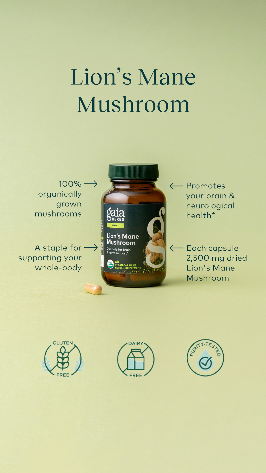 Gaia Herbs Facebook ad
