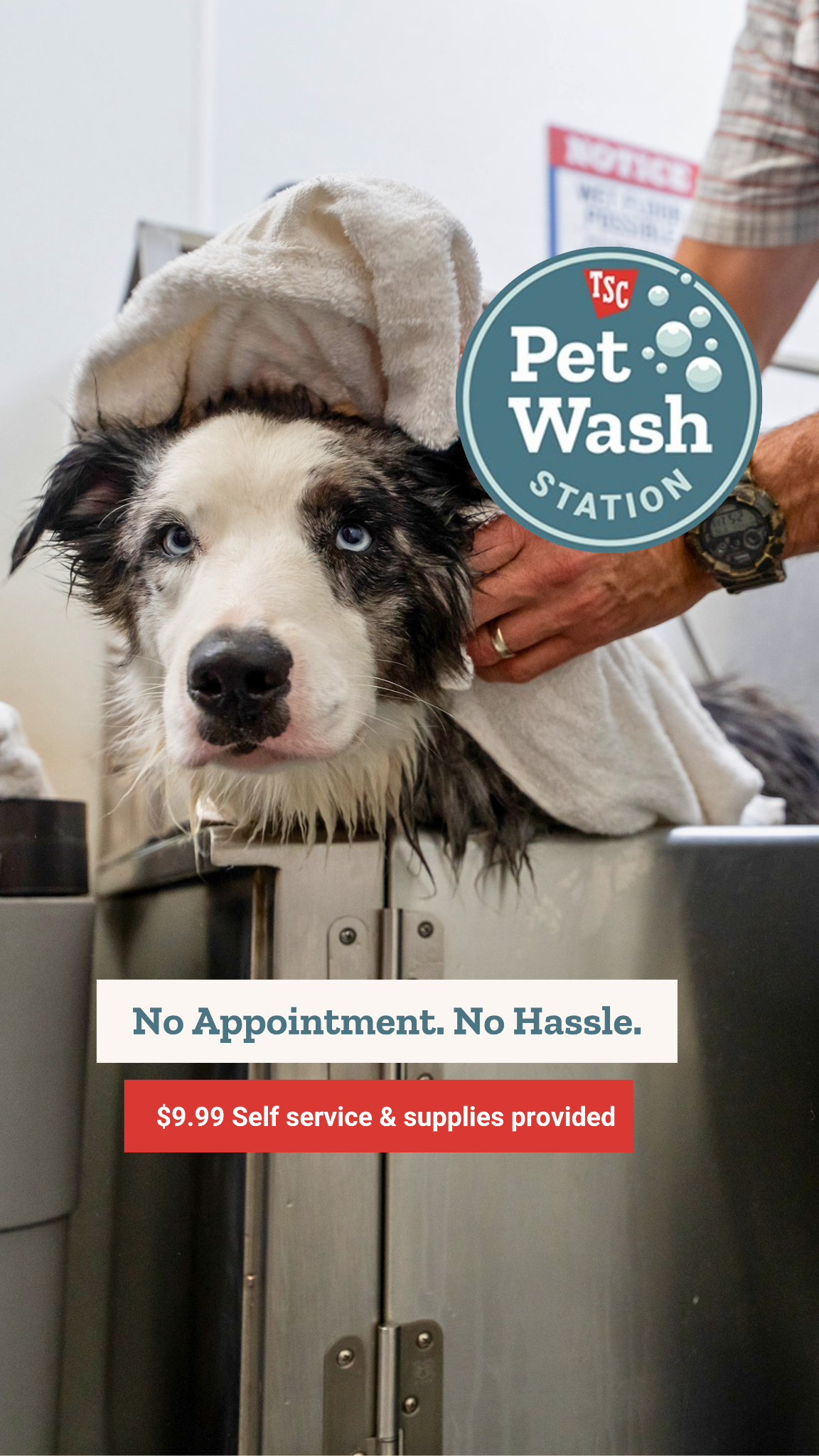 Tractor Supply Co. Facebook ad: Try Our Pet Wash