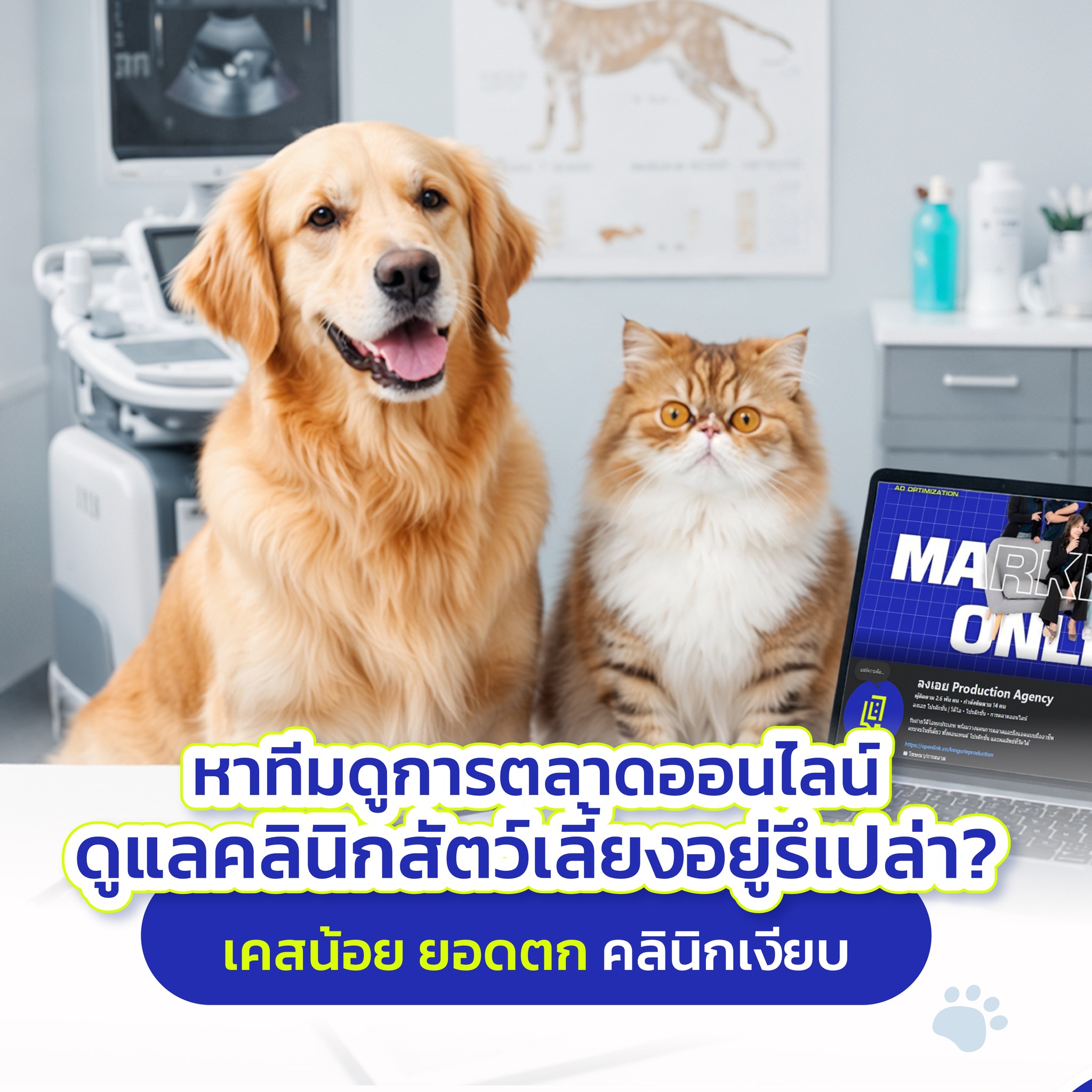 ลงเอย Production Agency Facebook ad: คลินิกสัตว์ของคุณกำลังเจอแบบนี้อยู่ไหม?