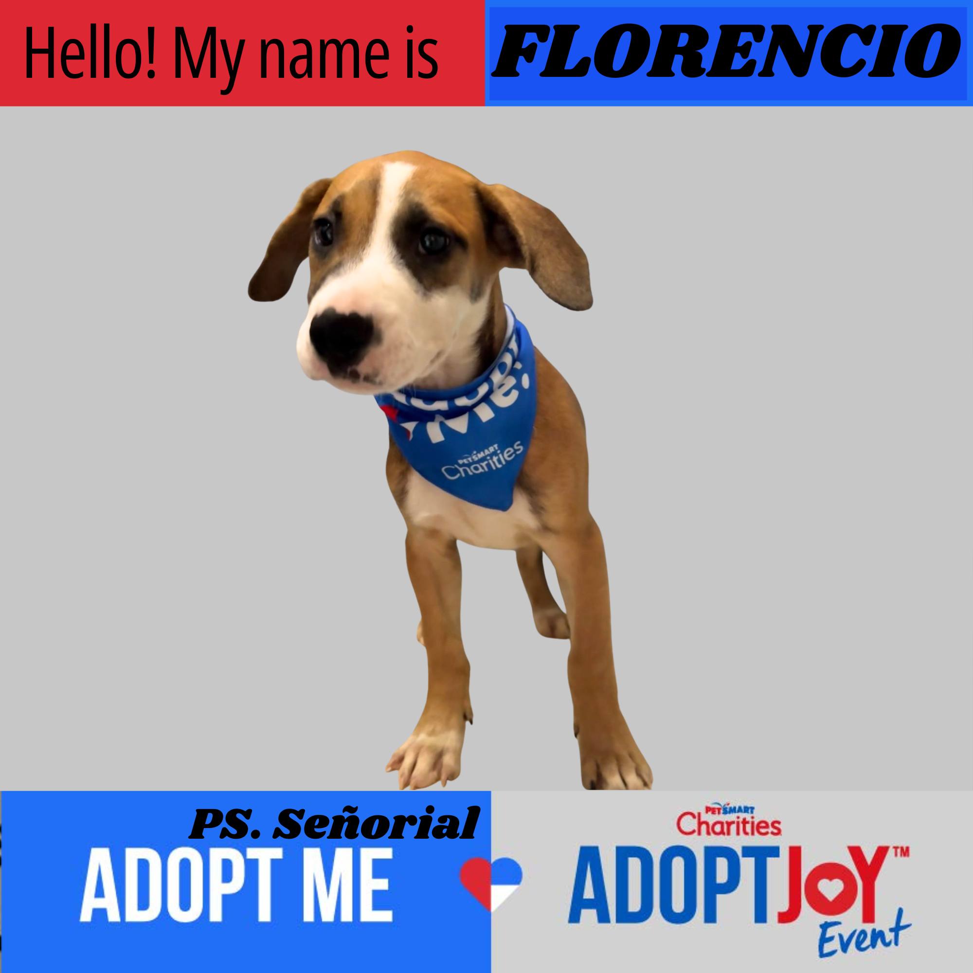 Villa Michelle Albergue Animales Facebook ad