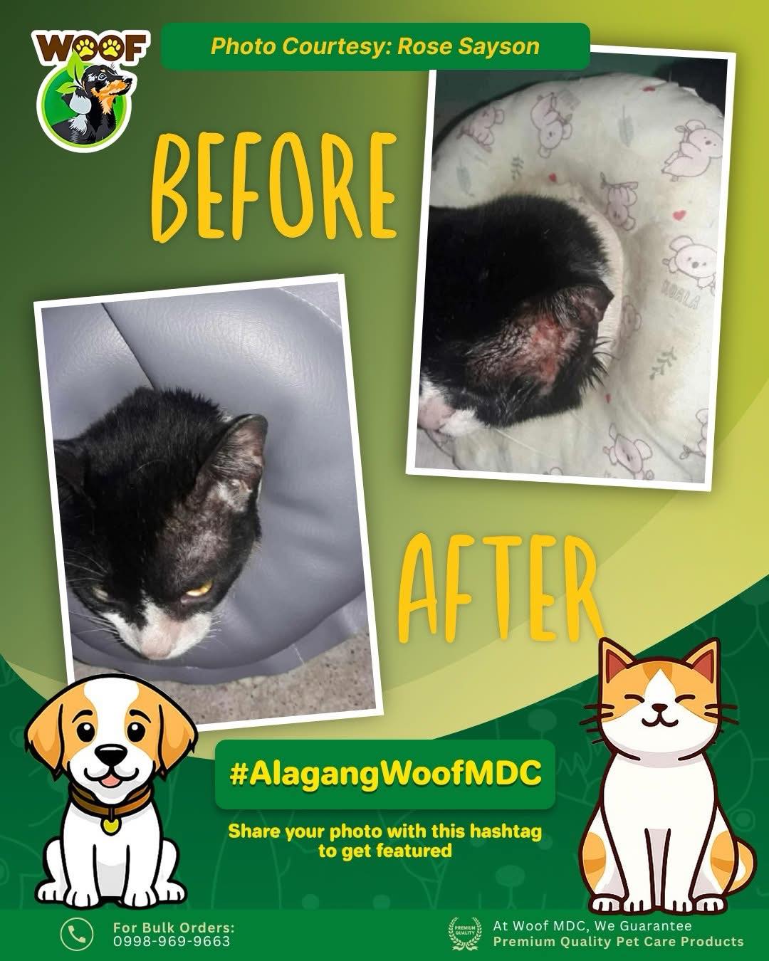 WOOF Premium Organic Dog Shampoo and Soap Facebook ad
